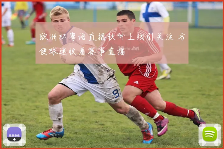欧洲杯粤语直播软件上线引关注 方便球迷收看赛事直播