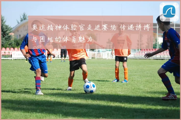 奥运精神体验官走进赛场 传递拼搏与团结的体育魅力