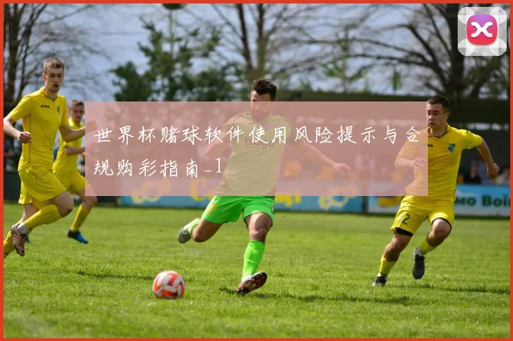 世界杯赌球软件使用风险提示与合规购彩指南_1