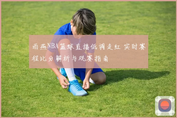 雨燕NBA篮球直播低调走红 实时赛程比分解析与观赛指南