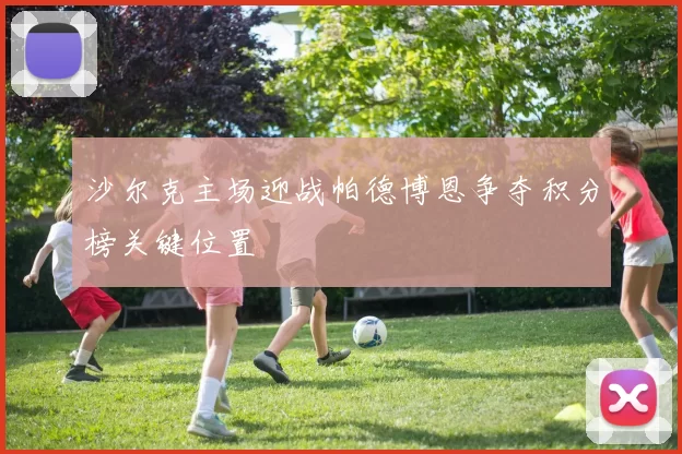 沙尔克主场迎战帕德博恩争夺积分榜关键位置