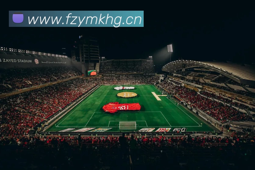 开云(中国)Kaiyun·官方网站 - 登录入口发展历程